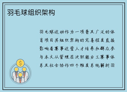 羽毛球组织架构